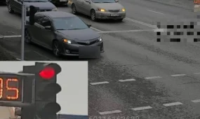 Рекордный нарушитель: в Жамбылской области наказали водителя с 155 нарушениями ПДД