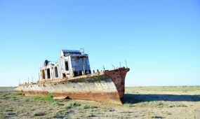 Арал мәселесі Халықаралық экология саммитінде талқыланады