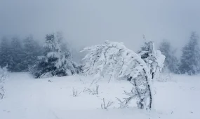 13 өңірде ауа райына байланысты ескерту жарияланды