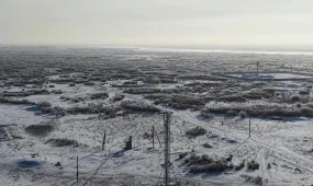 Алматы облысында орман өрті 14 есеге азайды