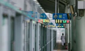 Оңтүстік Кореяда заңсыз жүргендер елге айыппұлсыз орала алады