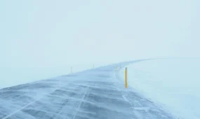 Төтеншеліктер Алматы облысының тұрғындарына ескерту жасады