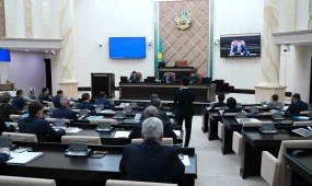 Некоторым казахстанцам могут запретить въезд во Францию