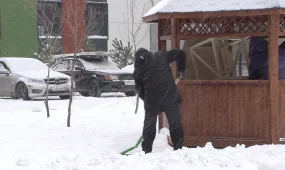 В Астане первичная организация «Белес» партии «AMANAT» провела экологическую акцию «Таза бейсенбі»