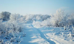 Снег, метели и морозы: Казахстан ждут холодные выходные