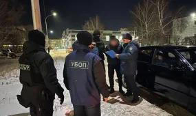 В Кокшетау пресекли серию вымогательств через фейковые аккаунты в соцсетях