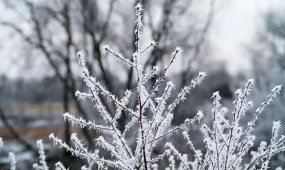 Холодный январь: прогноз погоды на 24 января 2026 года для Астаны, Алматы и Шымкента