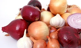 Врач предупредила о продуктах, способных вызвать неприятный запах тела