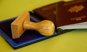 Грузия ввела обязательную страховку для туристов: штрафы и правила въезда