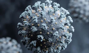 В Казахстане не зафиксировано случаев заражения вирусом Нипах - Минздрав