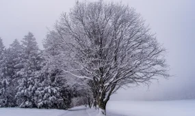 Холодно и снежно: погодный прогноз на 27 января в Астане, Алматы и Шымкенте