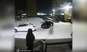 Семей тұрғындары түнде аула аралайтын бойжеткеннен қорқуда