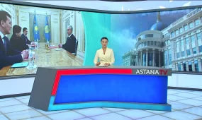 Касым-Жомарт Токаев принял председателя Конституционной комиссии Эльвиру Азимову