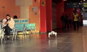 Робот-собака вышел на патрулирование общественных мест в Астане (ВИДЕО)