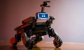 Астанада қоғамдық орындарды робот-ит күзетеді