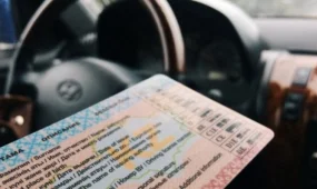 Жүргізу куәлігін сатып аламын деп алаяққа алданды