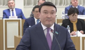 Любой гражданин сможет выдвигать законопроекты через Халық кеңесі - Максат Толыкбай
