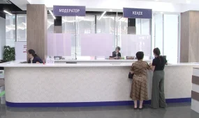 Екі мың кәсіпкер алаяқтық үшін жазаға тартылған