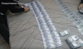 134 млн теңге пара алған: ШҚО-да лауазымды екі шенеунік қолға түсті