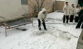 Қызылордалық ерікті жастар ардагерге қолғабыс жасады