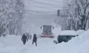 Жапонияда  қалың қардың салдарынан 28 адам қаза тапты