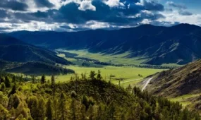 Ұлы Дала - жаңа Ата Заң жобасында шегеленген ұғым