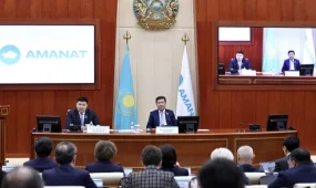 Фракция партии «AMANAT» поддержала проект новой Конституции РК