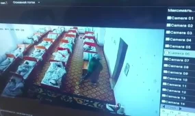 Ұйықтап жатқан сәбидің бетін тырнаған