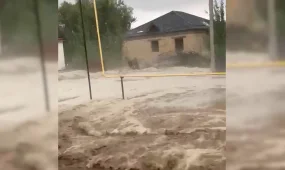 Несколько сел оказались под водой после сильного ливня в Туркестанской области
