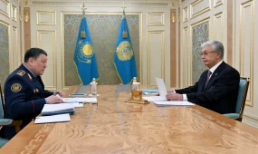 Глава МВД Токаеву: По запросам иностранных государств в Казахстане задержаны 537 преступников