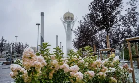 В Астане снег с дождем, в Шымкенте туман: погода во вторник, 6 октября