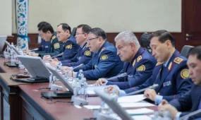 Тұрмыстық зорлық-зомбылық жасаған 25 мың адам қамалды - ІІМ
