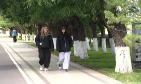 Алдыңғы қатарлы даму моделі: адами капиталға басымдық беру