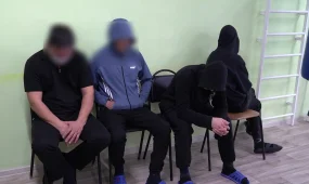 Депутат Курултая предложил усилить профилактику вовлечения молодежи в наркопреступления