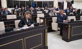 Қазақстан Халық Кеңесі: от предложения к законопроекту