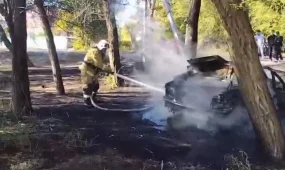 Алматыда көлік өртенді