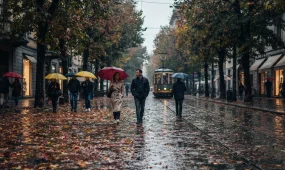 От дождя и +8 до сухой погоды и +24: прогноз на 9 октября