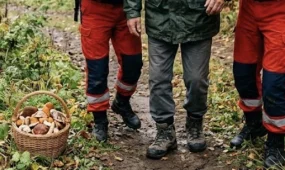 Операцию по спасению грибника развернули под Усть-Каменогорском