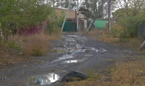 Қарағандылық тұрғындар көшеге шыға алмай отыр