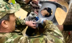 Құтқарушылар үш жасар баланың саусағын босатты