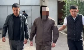 Қайрат Нұртастың концертіне жауапты ұйымдастырушы қамауға алынды