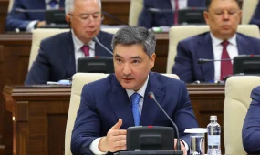 «Байлар мемлекеттік көмекке иек артпау керек» - Олжас Бектенов