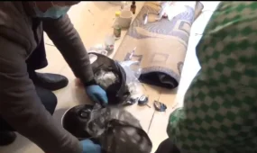 Изъяты мак и шприцы: нарколабораторию обнаружили в обычной многоэтажке в Актобе