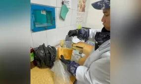 Нанның ішіне телефон жасырған: Павлодарда түрмеге тыйым салынған зат өткізбек болды