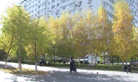 Тепло возвращается в Казахстан