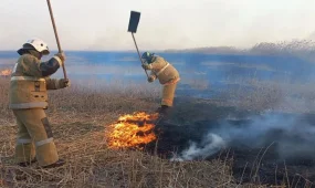 Атырауда қамыс өрті әлі сөнбеді