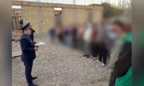 Елімізде көші-қон заңнамасын бұзудың 15,8 мыңнан астам дерегі тоқтатылды