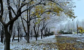 Қарашада Қазақстанда ауа райы қандай болады?