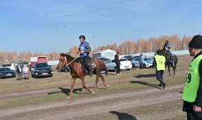 36 всадников из 5 стран соревновались на международном конном турнире в Костанайской области