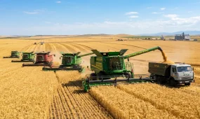 Қазақстанның агроөнеркәсіп кешені: ауыл шаруашылығы өнімінің көлемі 9,8 трлн теңгеге жетті